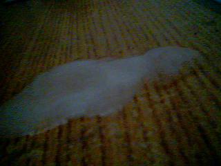 pute sur ales adorable salope pute sur ales adorable salope