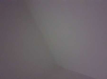 Photo ads/1620000/1620297/a1620297.jpg : Roses Pour Femme reel