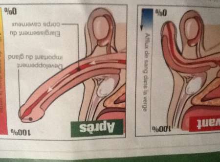 Photo ads/1648000/1648244/a1648244.jpg : Magnetiseur soigne L érection,L ejaculation precoc