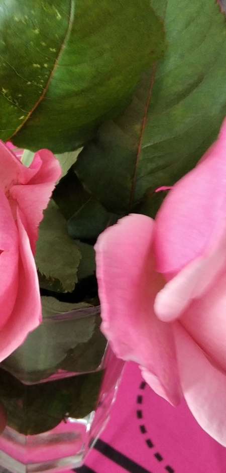 Photo ads/1712000/1712245/a1712245.jpg : Recherche jeune femme aide / plaisir