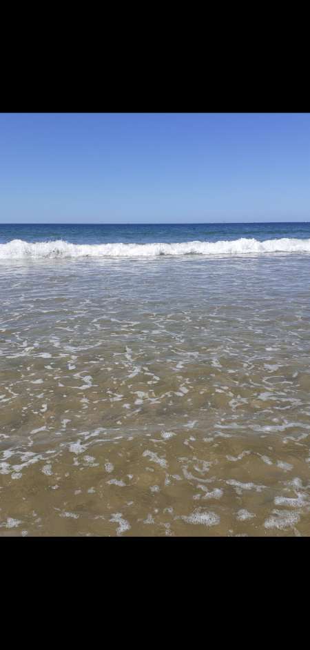 Photo ads/1717000/1717638/a1717638.jpg : Je propose 400 roses pour une nuit