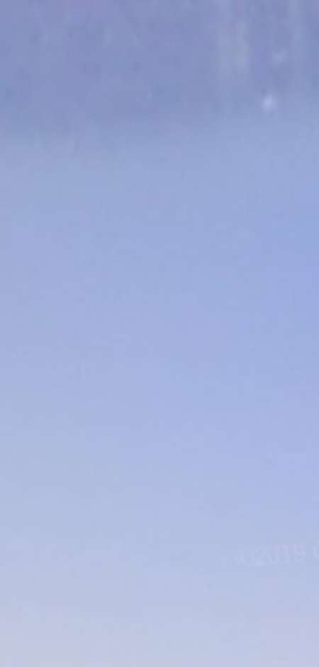 Photo ads/1754000/1754604/a1754604.jpg : 350 roses pour une nuit avec 1femme 20a32ans maxi