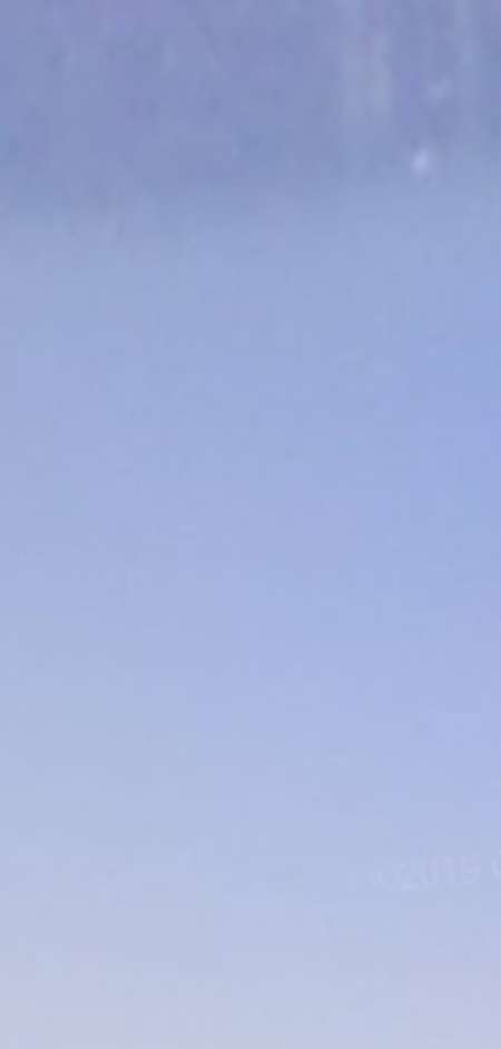 Photo ads/1766000/1766538/a1766538.jpg : 300 roses a chaque rencontre pr toi suivi possible