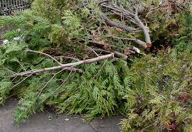 Photo ads/1805000/1805215/a1805215.jpg : Multi-services entretien maison secondaire ...