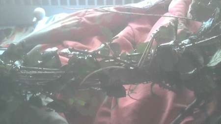 Photo ads/1825000/1825888/a1825888.jpg : qui vient me fouetter sans limites