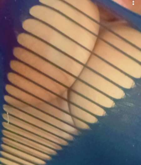 Photo ads/1924000/1924463/a1924463.jpg : Le rouss