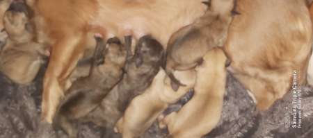 Photo ads/1928000/1928584/a1928584.jpg : Recherche famille aimante