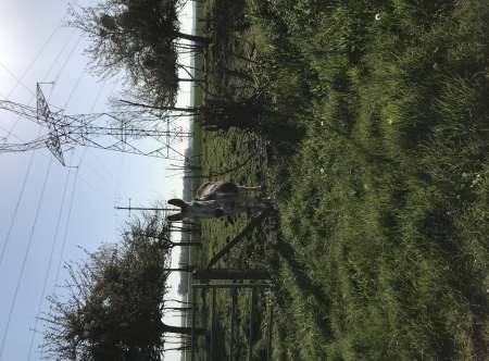 Photo ads/1989000/1989776/a1989776.jpg : Recherche femme de ménage