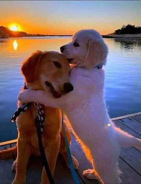 Photo ads/1991000/1991887/a1991887.jpg : Tendre moments coquins