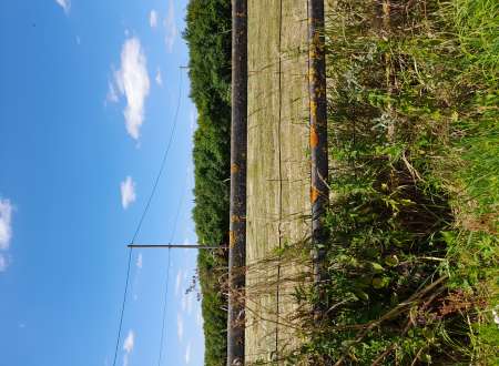 Photo ads/1994000/1994445/a1994445.jpg : Je cherche une Sugar Baby