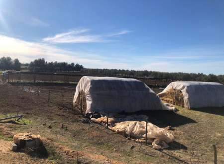 Photo ads/1996000/1996057/a1996057.jpg : Vente terrain agricole 15 hectates équipé