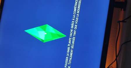 Photo ads/2033000/2033685/a2033685.jpg : Recherche Femme Pour Jouer Au Sims