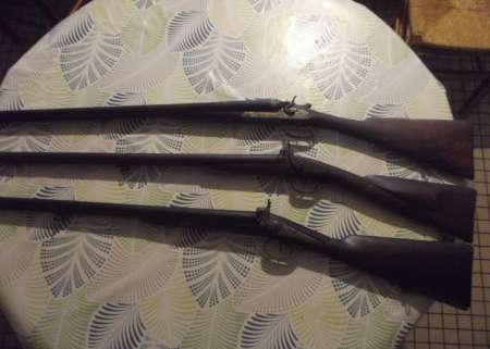 Photo ads/2038000/2038432/a2038432.jpg : fusils de chasse pn et fusil de chasse psf