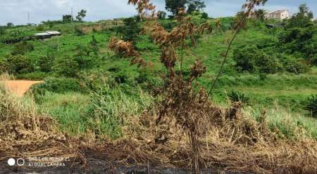 Photo ads/2080000/2080241/a2080241.jpg : TERRAINS MOTOBE