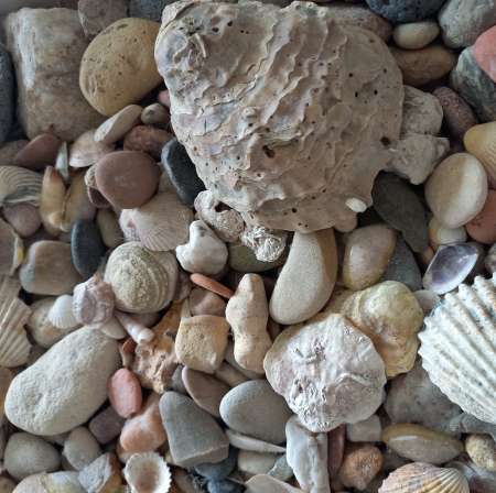 Photo ads/2120000/2120570/a2120570.jpg : Elea sur albi