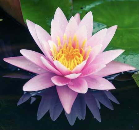 Photo ads/2210000/2210708/a2210708.jpg : Massage érotique gratuit pour jf (25 maxi)