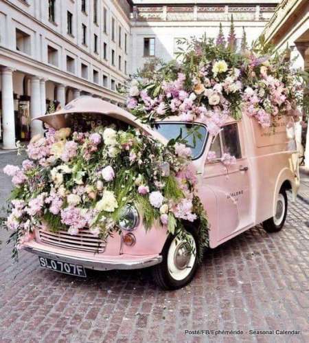 Photo ads/2218000/2218751/a2218751.jpg : Rencontre *ée. Favorisez les sms svp