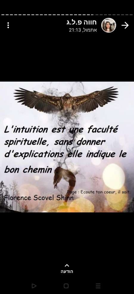 Photo ads/2224000/2224028/a2224028.jpg : Instructeur et Professeur de Krav Maga