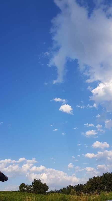 Photo ads/2239000/2239896/a2239896.jpg : Ménage