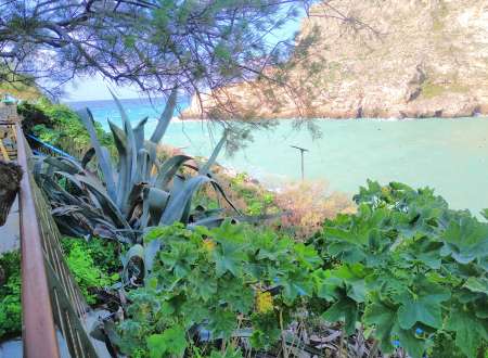 Photo ads/2247000/2247223/a2247223.jpg :  Rencontre, sortie, loisir, voyage