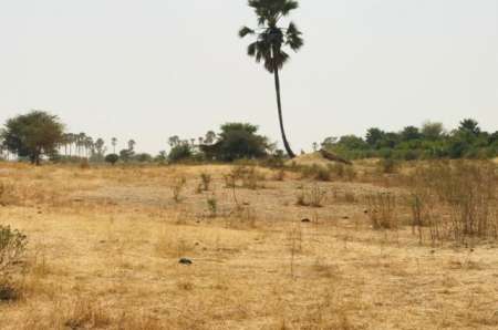 Photo ads/2262000/2262724/a2262724.jpg :  Terrain agricole de 8 m² à Samba Dia