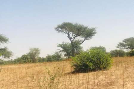 Photo ads/2263000/2263626/a2263626.jpg : Terrain de 18 à Tassette