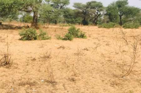 Photo ads/2263000/2263683/a2263683.jpg : Terrain agricole de 13 m² à Touba Toul