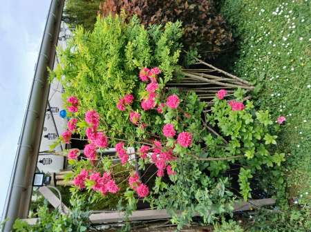 Photo ads/2291000/2291572/a2291572.jpg : Location mobhilome