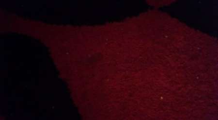 Photo ads/2303000/2303443/a2303443.jpg : Petit boulot photos nues