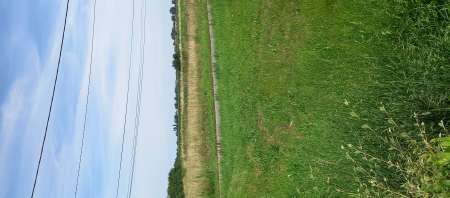 Photo ads/2314000/2314247/a2314247.jpg :  Homme cherche femme pour exhib