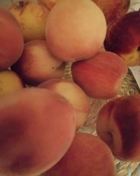 Photo ads/2339000/2339028/a2339028.jpg :  pour toi