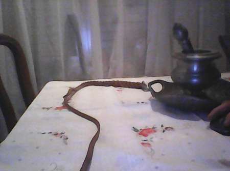 Photo ads/2348000/2348313/a2348313.jpg : h maso sans tabous reçois