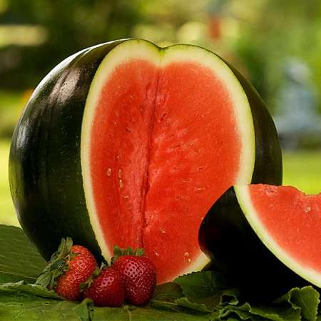 Photo ads/2356000/2356574/a2356574.jpg : Jeune Sugga Daddy recherche être féminin ...