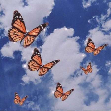 Photo ads/2359000/2359598/a2359598.jpg :  BELLE SENSUELLE FEMME SEXY