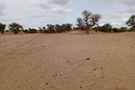 Photo ads/2369000/2369767/a2369767.jpg : Terrain agricole de 3 ha vers keur Samba Kane