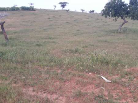 Photo ads/2369000/2369780/a2369780.jpg : Terrain agricole de 2 ha vers Lompoul