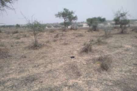 Photo ads/2369000/2369813/a2369813.jpg : Terrain agricole de 9,22 ha vers Thieppe