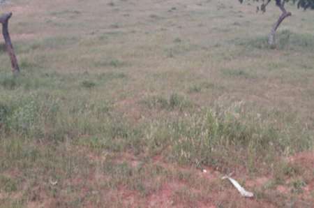 Photo ads/2369000/2369818/a2369818.jpg : Terrain agricole de 8266 m² vers Lompoul