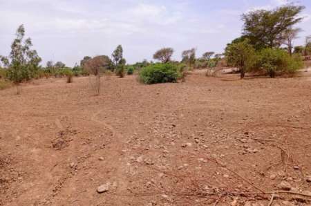 Photo ads/2369000/2369833/a2369833.jpg : Terrain agricole de 6840 m² Notto Diobass