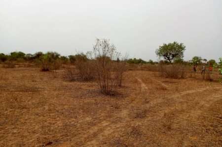 Photo ads/2369000/2369847/a2369847.jpg : Terrain agricole de 1,01 ha vers Thiénaba