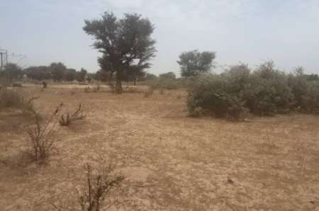 Photo ads/2369000/2369862/a2369862.jpg : Terrain agricole de 1,03 ha vers Tassette