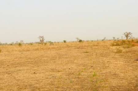 Photo ads/2373000/2373505/a2373505.jpg : Terrain agricole de 3,20 ha vers Nguéniène