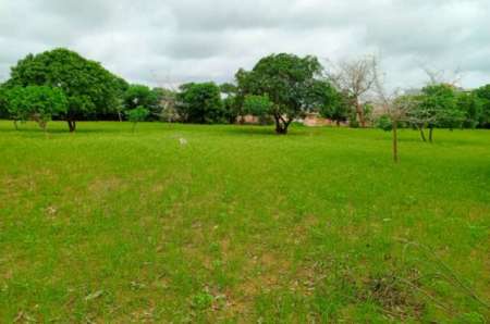 Photo ads/2374000/2374417/a2374417.jpg : Terrain agricole de 1,27 ha vers Keur Moussa