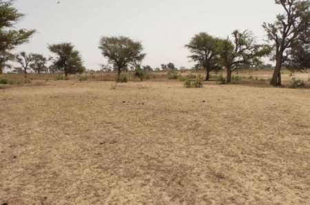 Photo ads/2374000/2374421/a2374421.jpg : Terrain Agricole de 2,47 ha vers Sindia