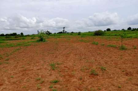 Photo ads/2374000/2374466/a2374466.jpg : Terrain agricole de 6797 m² vers Notto Diobass