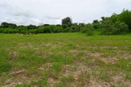 Photo ads/2374000/2374468/a2374468.jpg : Verger agricole de 6252 m² vers Notto Diobass