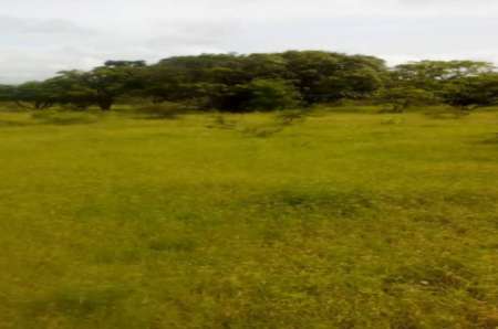 Photo ads/2374000/2374486/a2374486.png : Terrain agricole de 3 ha vers Ngueniene