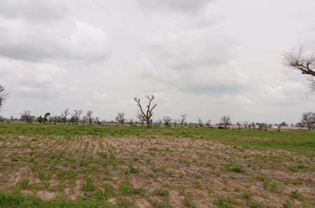 Photo ads/2374000/2374497/a2374497.jpg : Terrain agricole de 2 ha vers Sandiara