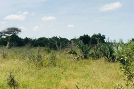 Photo ads/2375000/2375090/a2375090.jpg : Terrain agricole de 1,57 ha vers Pire