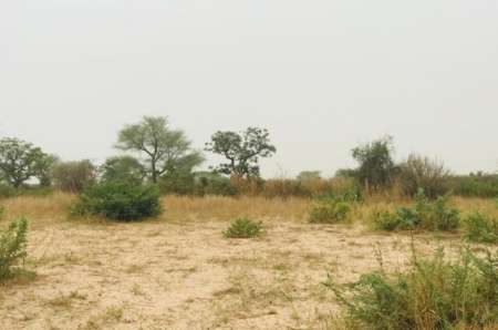 Photo ads/2375000/2375108/a2375108.jpg : Terrain agricole de 1,87 ha vers Méouane
